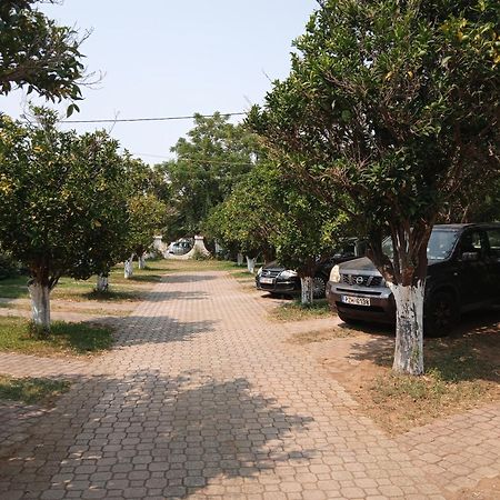 Pension Alexandros Превеза Экстерьер фото
