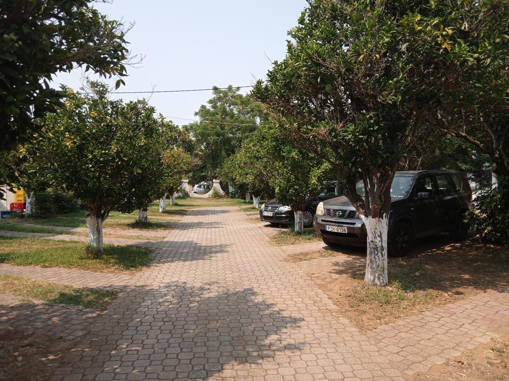 Pension Alexandros Превеза Экстерьер фото